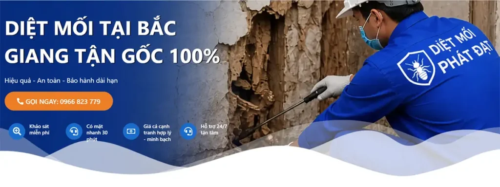 dịch vụ diệt mối tại bắc giang - bn 01