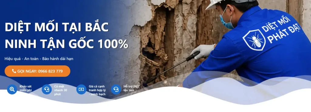 dịch vụ diệt mối tại bắc ninh - bn 01