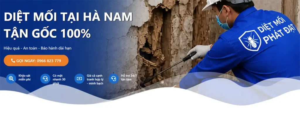 dịch vụ diệt mối tại Hà Nam - bn main