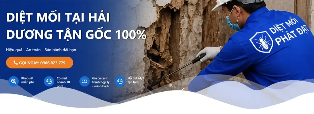 dịch vụ diệt mối tại Hải Dương - bn main