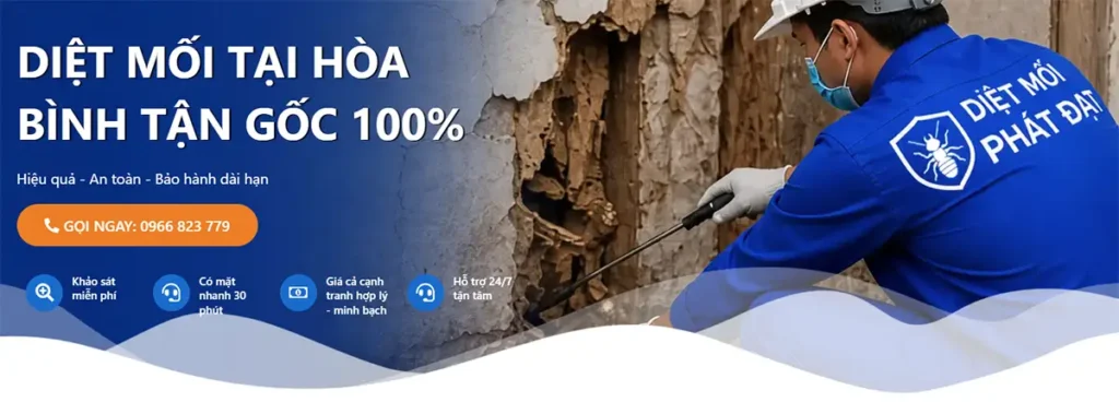 dịch vụ diệt mối tại Hòa Bình - bn main