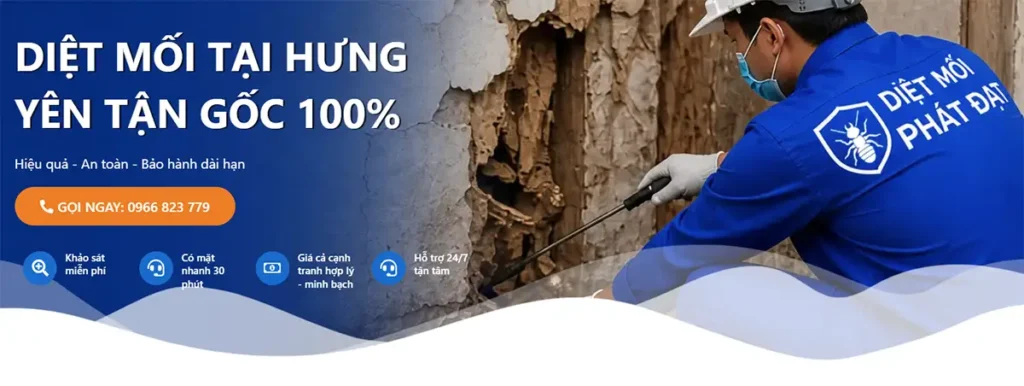 dịch vụ diệt mối tại hưng yên - bn 01