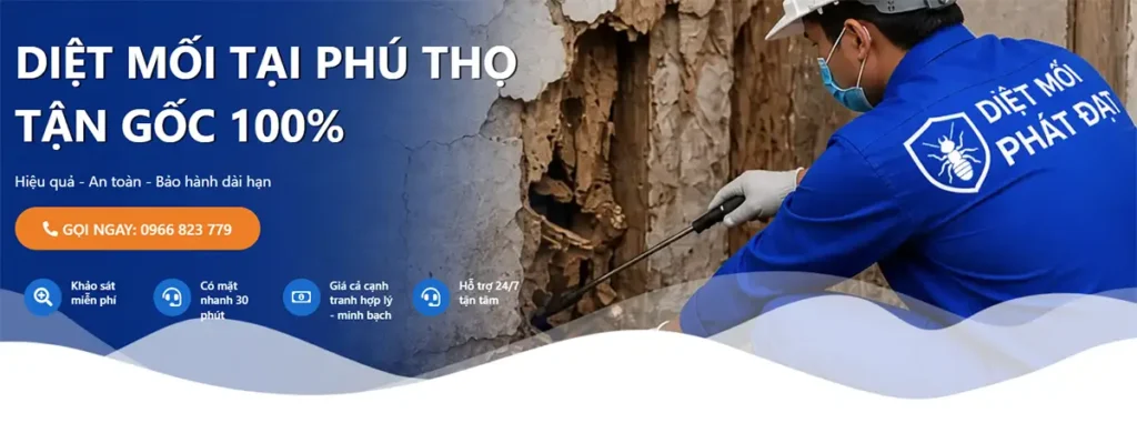 dịch vụ diệt mối tại Phú THọ - bn main
